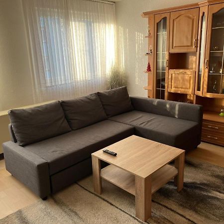 Schoene Ferienwohnung In Саарбрюкен Екстер'єр фото
